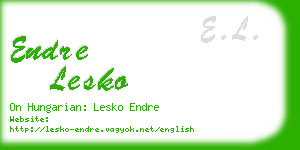 endre lesko business card